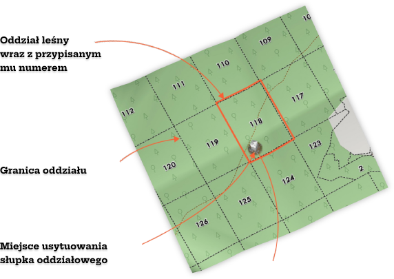 Zdjęcie boczne - 1019